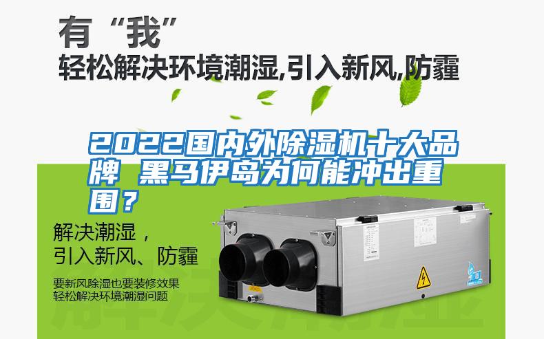 2022國(guó)內(nèi)外除濕機(jī)十大品牌 黑馬伊島為何能沖出重圍?