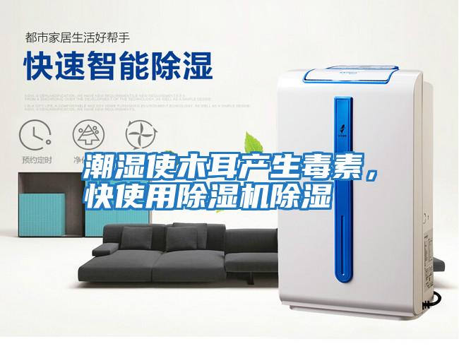 潮濕使木耳產生毒素，快使用除濕機除濕