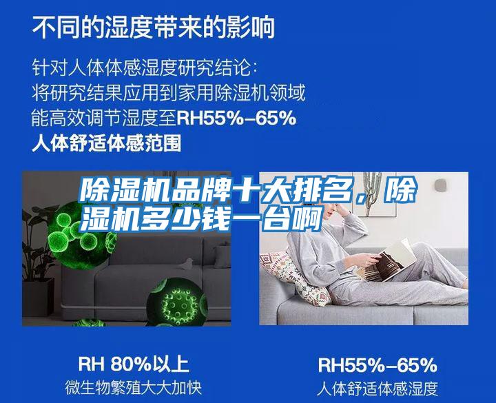 除濕機(jī)品牌十大排名，除濕機(jī)多少錢一臺(tái)啊