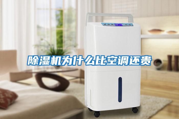 除濕機為什么比空調還貴
