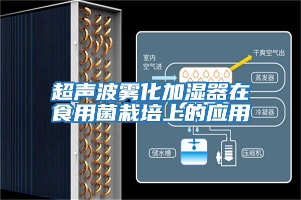 超聲波霧化加濕器在食用菌栽培上的應(yīng)用