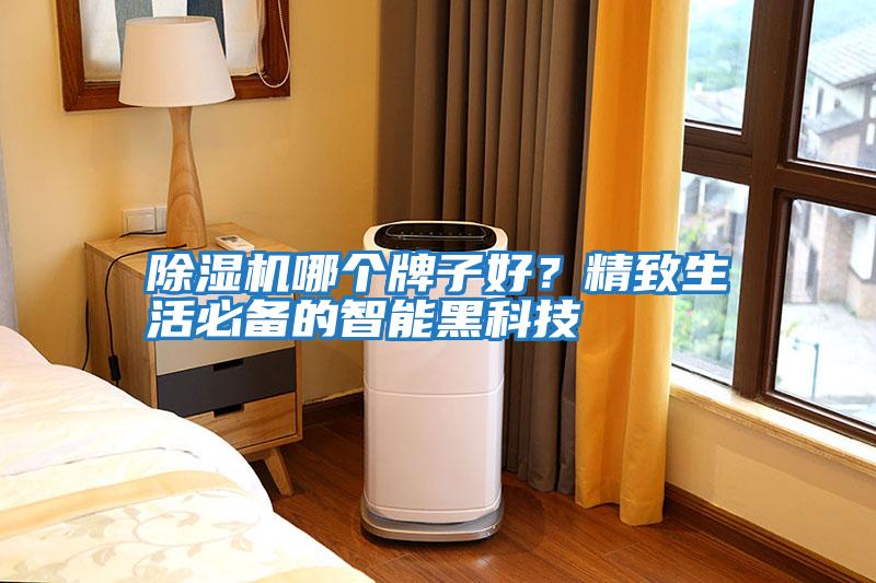 除濕機哪個牌子好？精致生活必備的智能黑科技