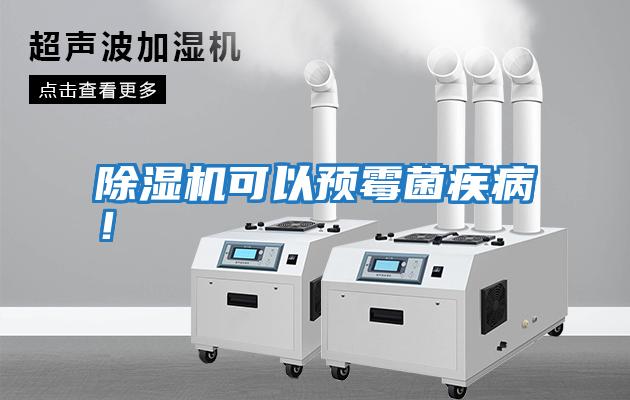 除濕機可以預霉菌疾病!