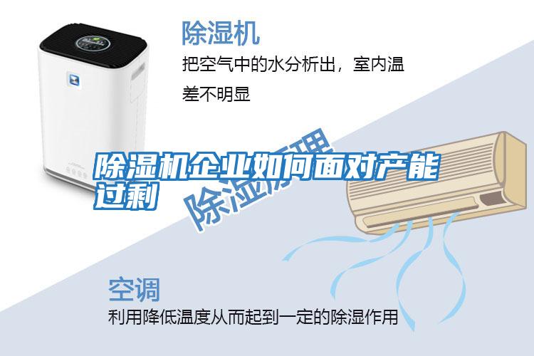 除濕機企業如何面對產能過剩