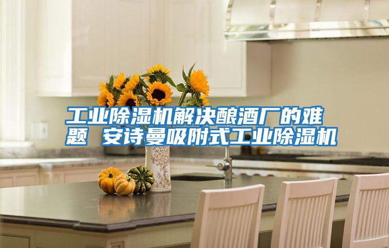 工業(yè)除濕機(jī)解決釀酒廠的難題 安詩曼吸附式工業(yè)除濕機(jī)
