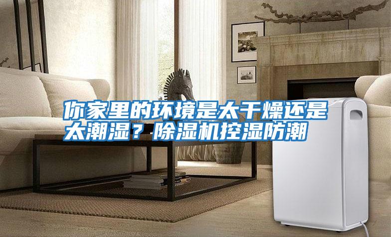 你家里的環境是太干燥還是太潮濕？除濕機控濕防潮