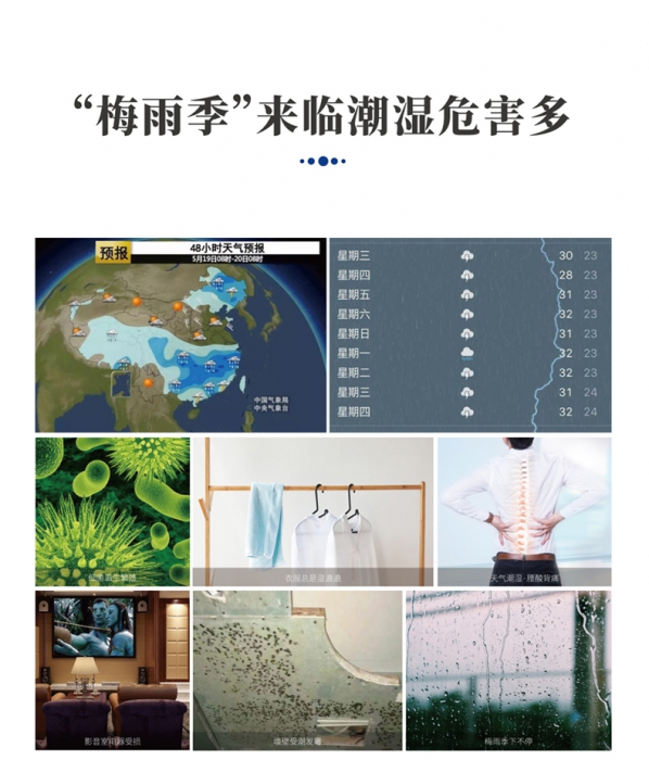 果脯烘干除濕機(jī)，果脯蜜餞烘干除濕一體機(jī)