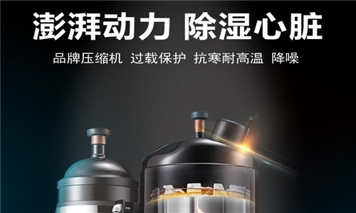 采菊東籬下，悠然見(jiàn)南山，金絲皇菊花的加工生產(chǎn)提高產(chǎn)能，升溫型烘干工業(yè)除濕機(jī)