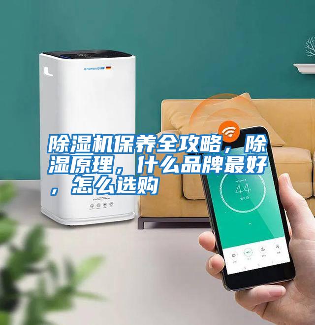 除濕機保養全攻略,除濕原理,什么品牌最好,怎么選購