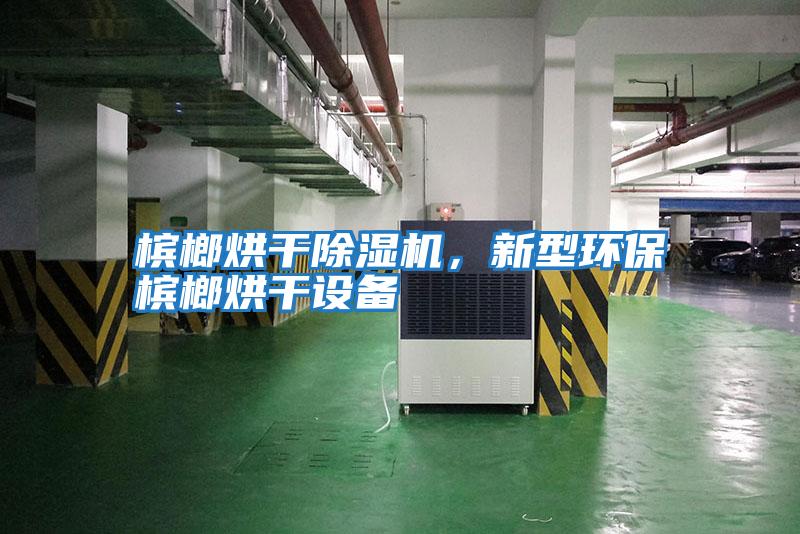 檳榔烘干除濕機，新型環保檳榔烘干設備