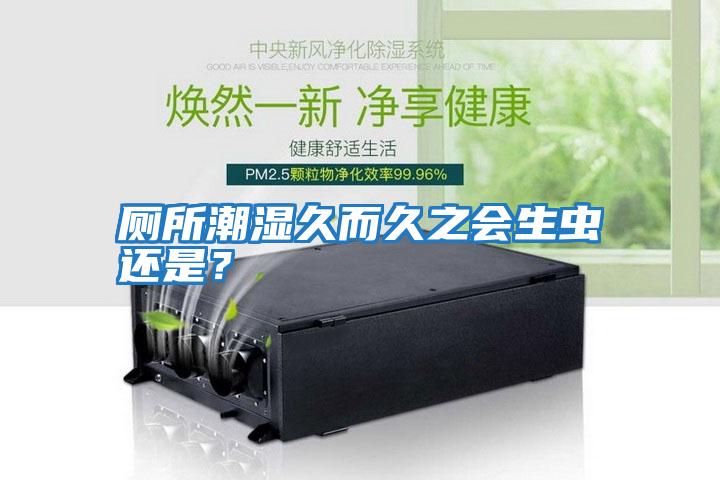 廁所潮濕久而久之會生蟲還是？