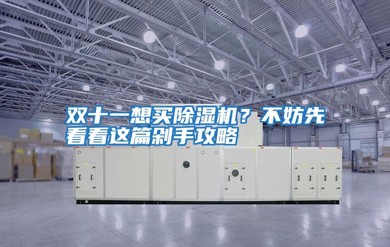 雙十一想買除濕機？不妨先看看這篇剁手攻略