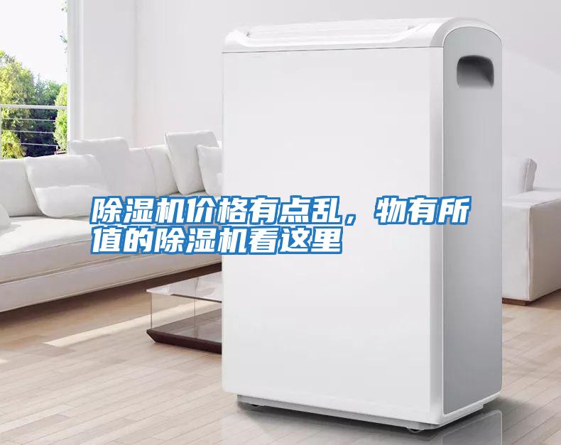 除濕機(jī)價(jià)格有點(diǎn)亂,物有所值的除濕機(jī)看這里