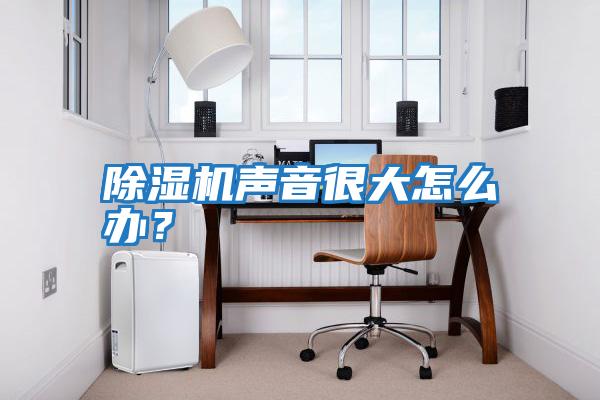除濕機聲音很大怎么辦?