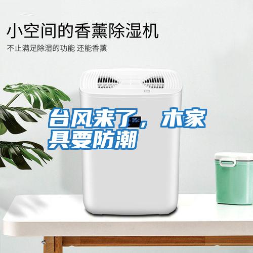 臺風來了,木家具要防潮