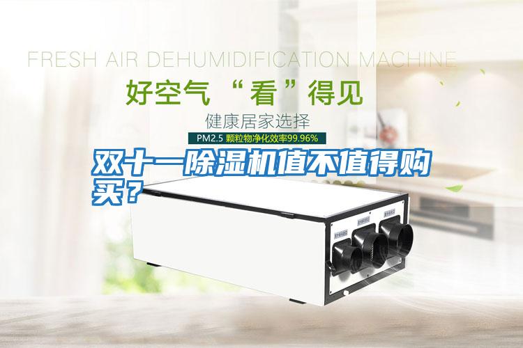 雙十一除濕機值不值得購買?