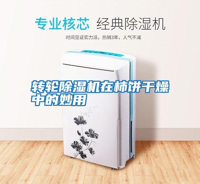 轉(zhuǎn)輪除濕機在柿餅干燥中的妙用