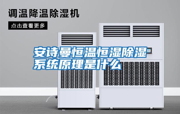安詩曼恒溫恒濕除濕系統原理是什么