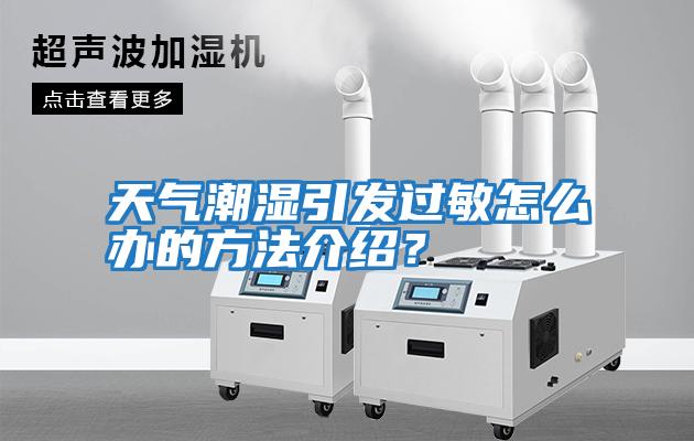 天氣潮濕引發過敏怎么辦的方法介紹？