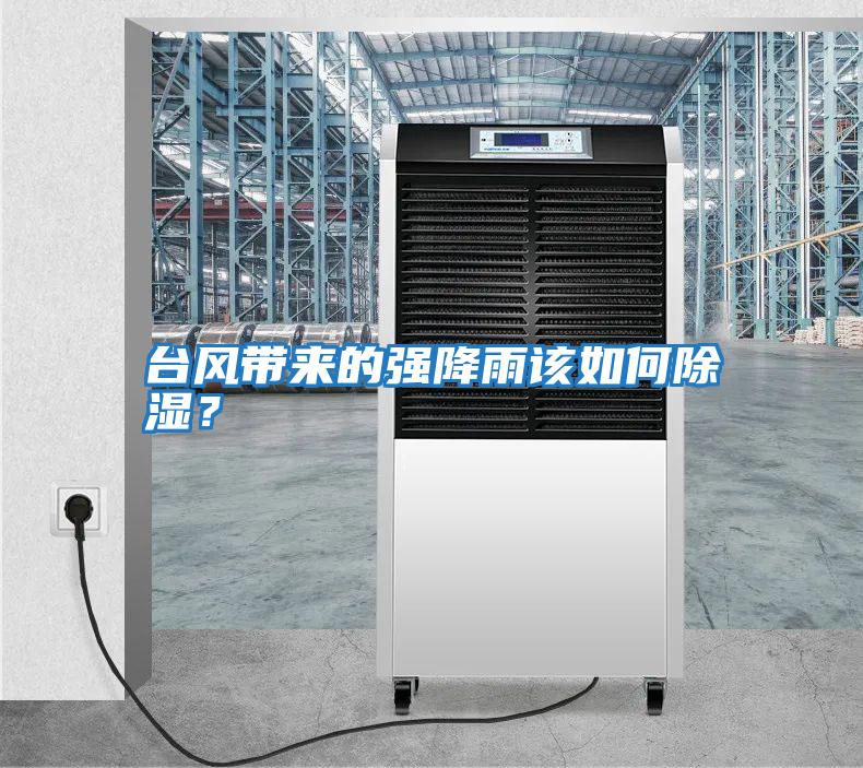 臺(tái)風(fēng)帶來(lái)的強(qiáng)降雨該如何除濕?