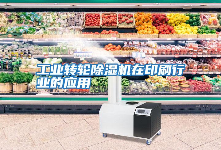 工業轉輪除濕機在印刷行業的應用