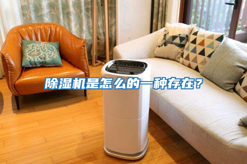 除濕機(jī)是怎么的一種存在？