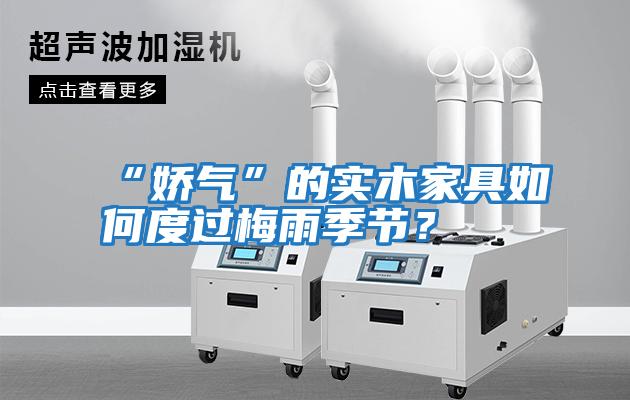 “嬌氣”的實木家具如何度過梅雨季節?