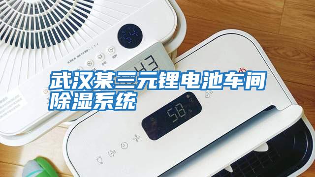 武漢某三元鋰電池車間除濕系統