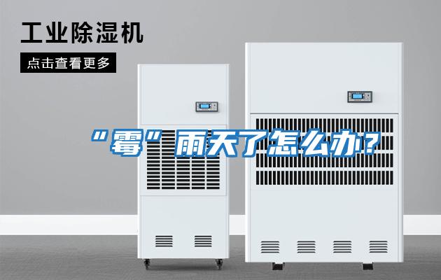 “霉”雨天了怎么辦？