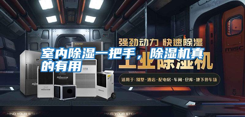 室內(nèi)除濕一把手，除濕機(jī)真的有用