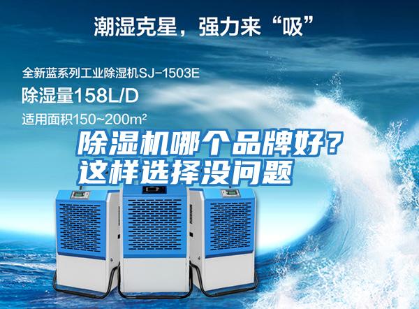 除濕機哪個品牌好？這樣選擇沒問題