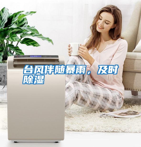 臺風(fēng)伴隨暴雨,及時除濕
