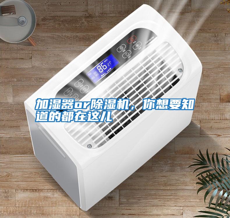 加濕器or除濕機，你想要知道的都在這兒