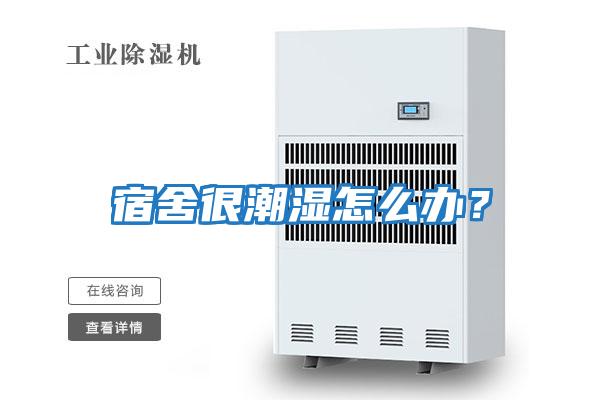 宿舍很潮濕怎么辦？