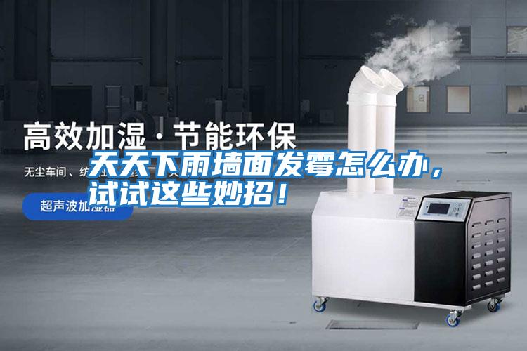 天天下雨墻面發霉怎么辦，試試這些妙招！