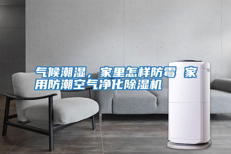 氣候潮濕,家里怎樣防霉 家用防潮空氣凈化除濕機