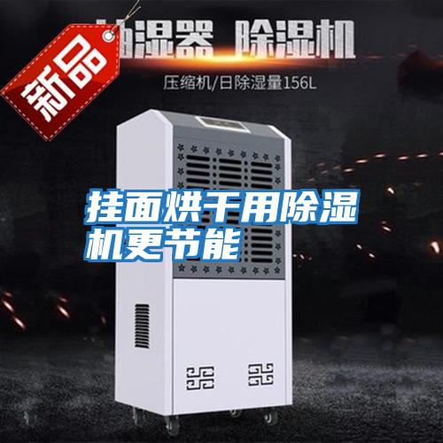 掛面烘干用除濕機更節能