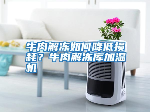 牛肉解凍如何降低損耗?牛肉解凍庫加濕機