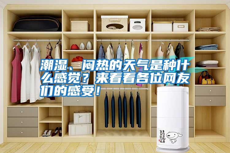 潮濕、悶熱的天氣是種什么感覺？來看看各位網友們的感受！