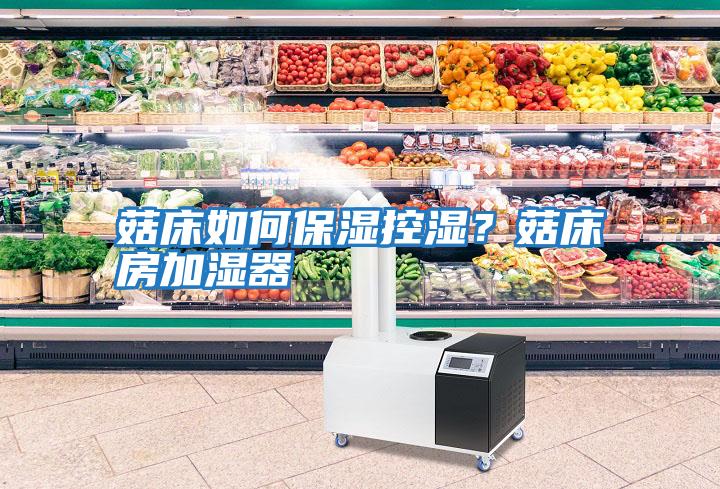 菇床如何保濕控濕？菇床房加濕器