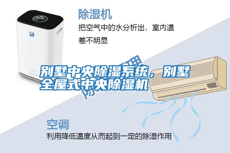 別墅中央除濕系統(tǒng),別墅全屋式中央除濕機(jī)