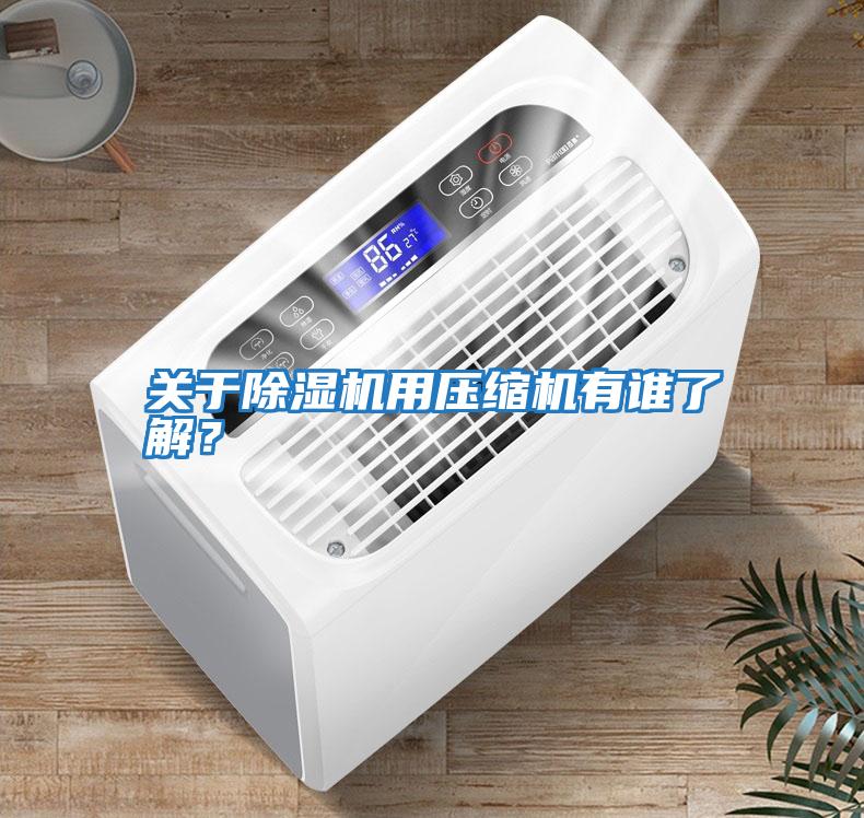 關(guān)于除濕機(jī)用壓縮機(jī)有誰(shuí)了解?