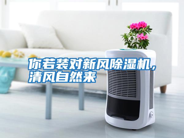 你若裝對新風除濕機,清風自然來