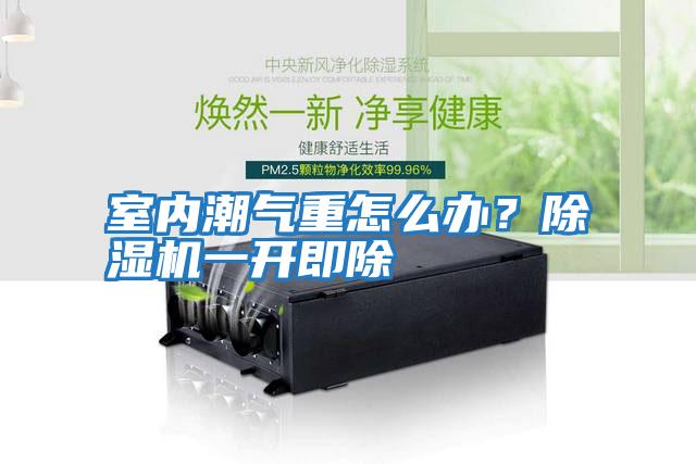 室內潮氣重怎么辦？除濕機一開即除