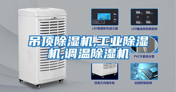 吊頂除濕機,工業除濕機,調溫除濕機