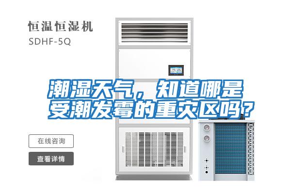 潮濕天氣，知道哪是受潮發霉的重災區嗎？