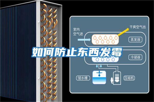 如何防止東西發霉