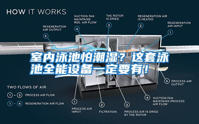 室內泳池怕潮濕?這套泳池全能設備一定要有!