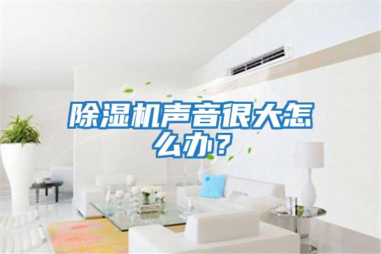 除濕機聲音很大怎么辦？