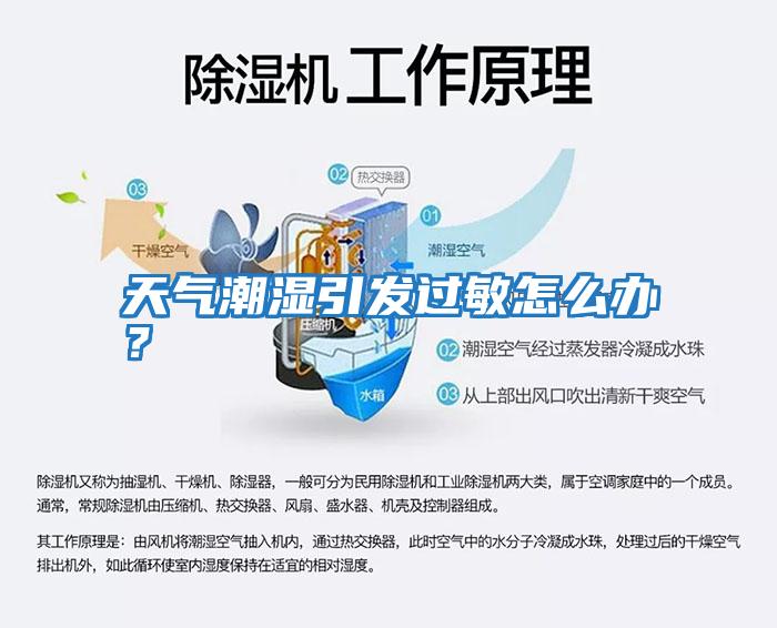 天氣潮濕引發過敏怎么辦？